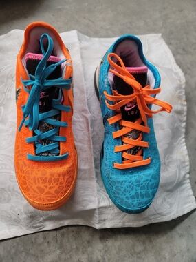 Nike L.B.J. shoes size 8